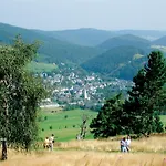 Aussen Pfui - Innen Hui * Willingen (Upland)